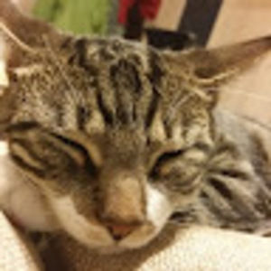 Meet your Posher, Cameron